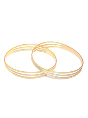 Dual Toned Elegantly Designed Set of 2 Bangles