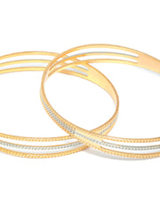 Dual Toned Elegantly Designed Set of 2 Bangles